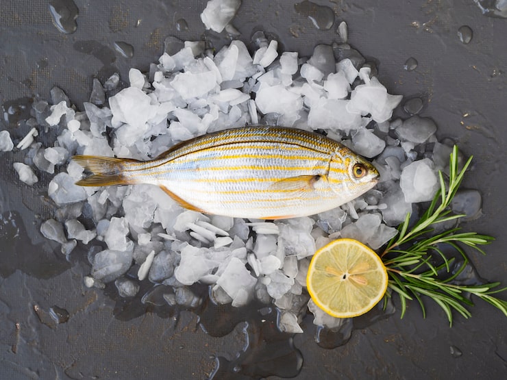 ORION-1 Antey Sever LLC