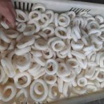 Clean-Skin-off-Indian-Ocean-Squid-Rings-Frozen-Squid-Ring-Price-3