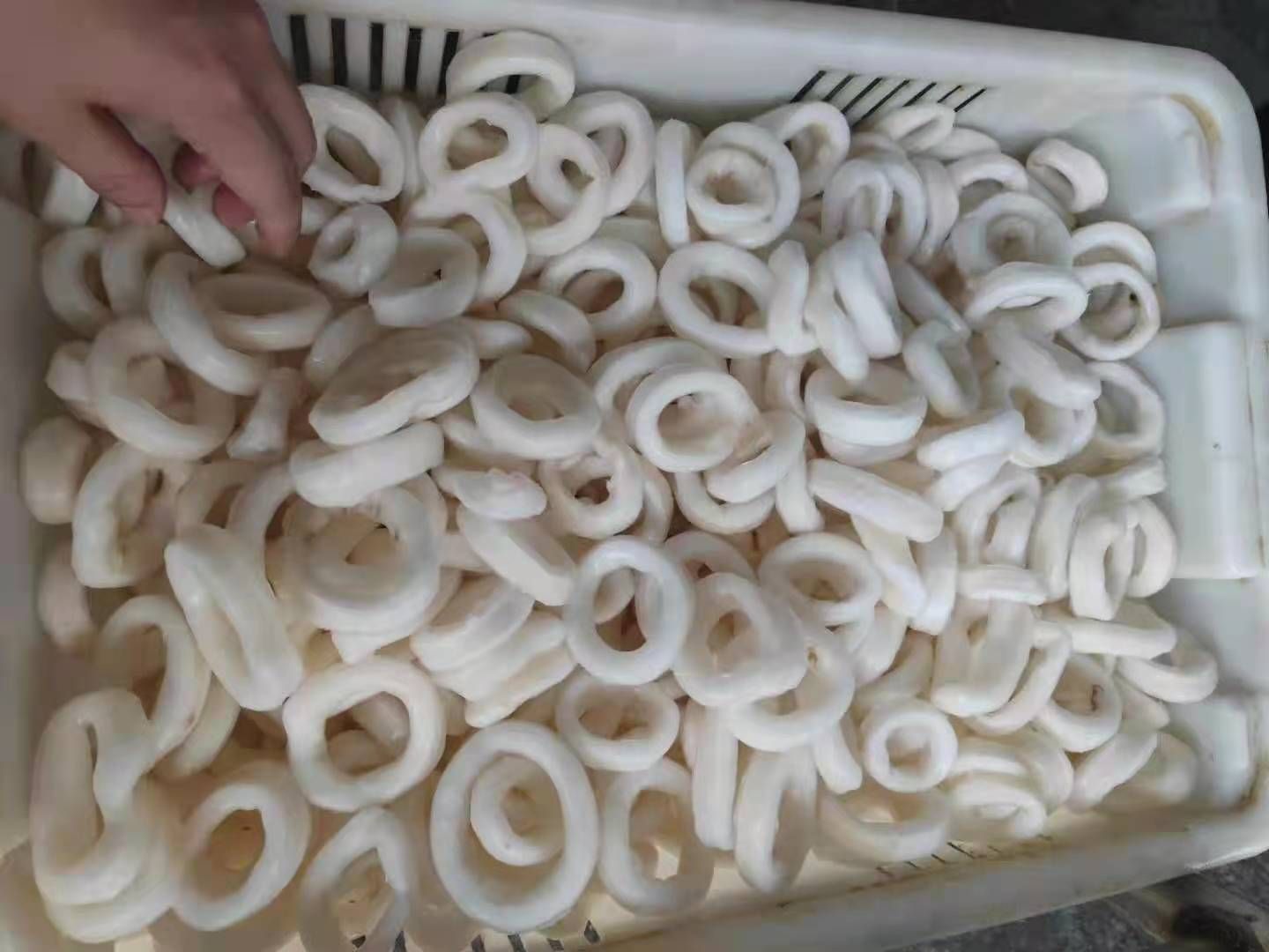 Squid Rings (cleaned & Frozen) - Kadean Miles — Kadean Miles — Aquatic #17083 Squid Rings (cleaned & Frozen) - Kadean Miles — Kadean Miles — Aquatic #17083 - Aquatic - B2B Global