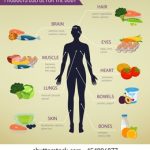 healthy-food-human-body-eating-260nw-454896877